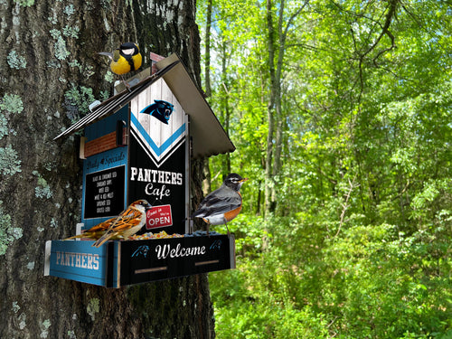 Wholesale NFL2206-Bird Feeder / Lifestyle images / N2206-Carolina Panthers