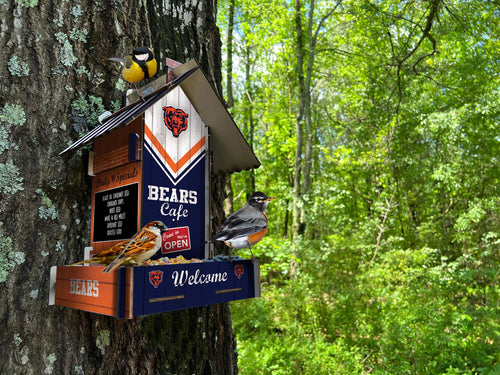 Wholesale NFL2206-Bird Feeder / Lifestyle images / N2206-Chicago Bears