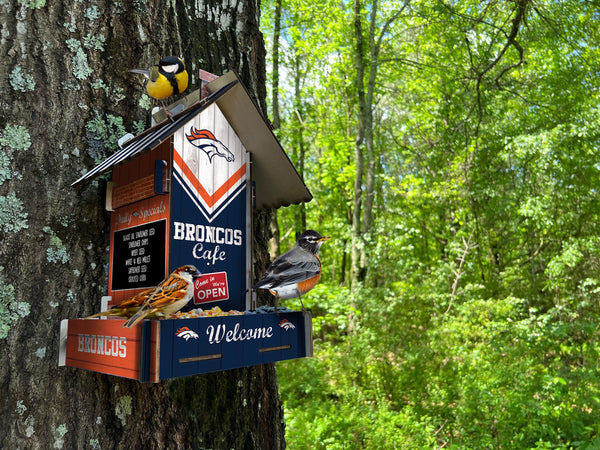 Wholesale NFL2206-Bird Feeder / Lifestyle images / N2206-Denver Broncos