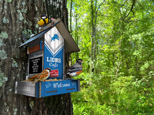 Wholesale NFL2206-Bird Feeder / Lifestyle images / N2206-Detroit Lions