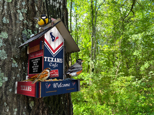 Wholesale NFL2206-Bird Feeder / Lifestyle images / N2206-Houston Texans