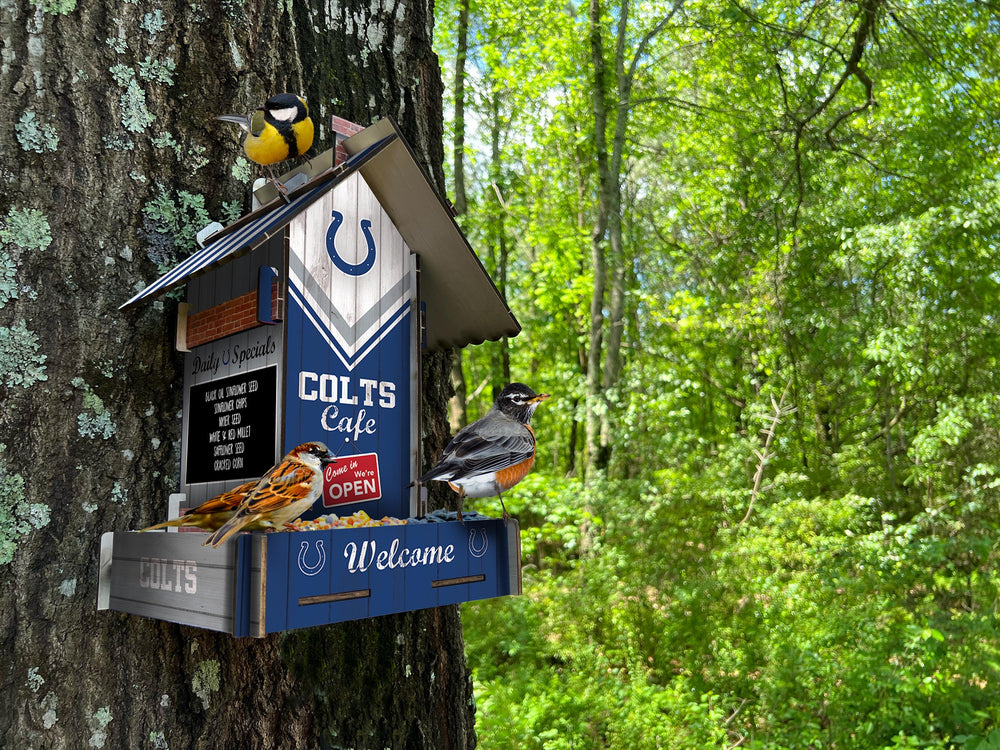 Wholesale NFL2206-Bird Feeder / Lifestyle images / N2206-Indianapolis Colts