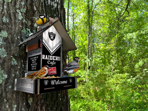 Wholesale NFL2206-Bird Feeder / Lifestyle images / N2206-Las Vegas Raiders