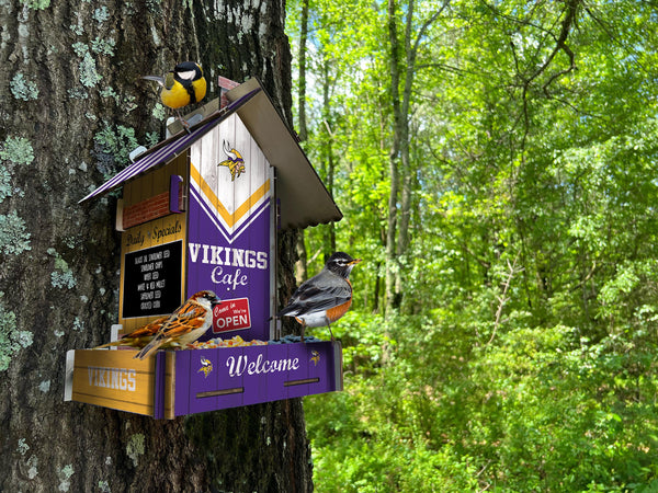 Wholesale NFL2206-Bird Feeder / Lifestyle images / N2206-Minnesota Vikings