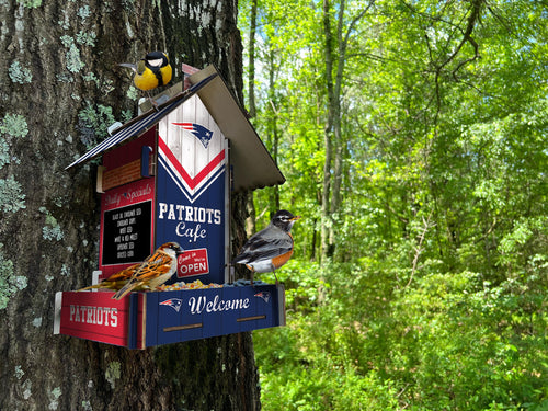 Wholesale NFL2206-Bird Feeder / Lifestyle images / N2206-New England Patriots