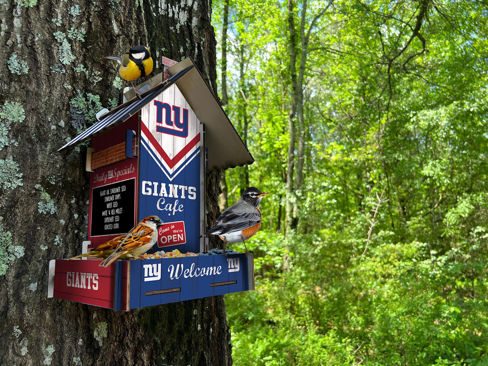 Wholesale NFL2206-Bird Feeder / Lifestyle images / N2206-New York Giants