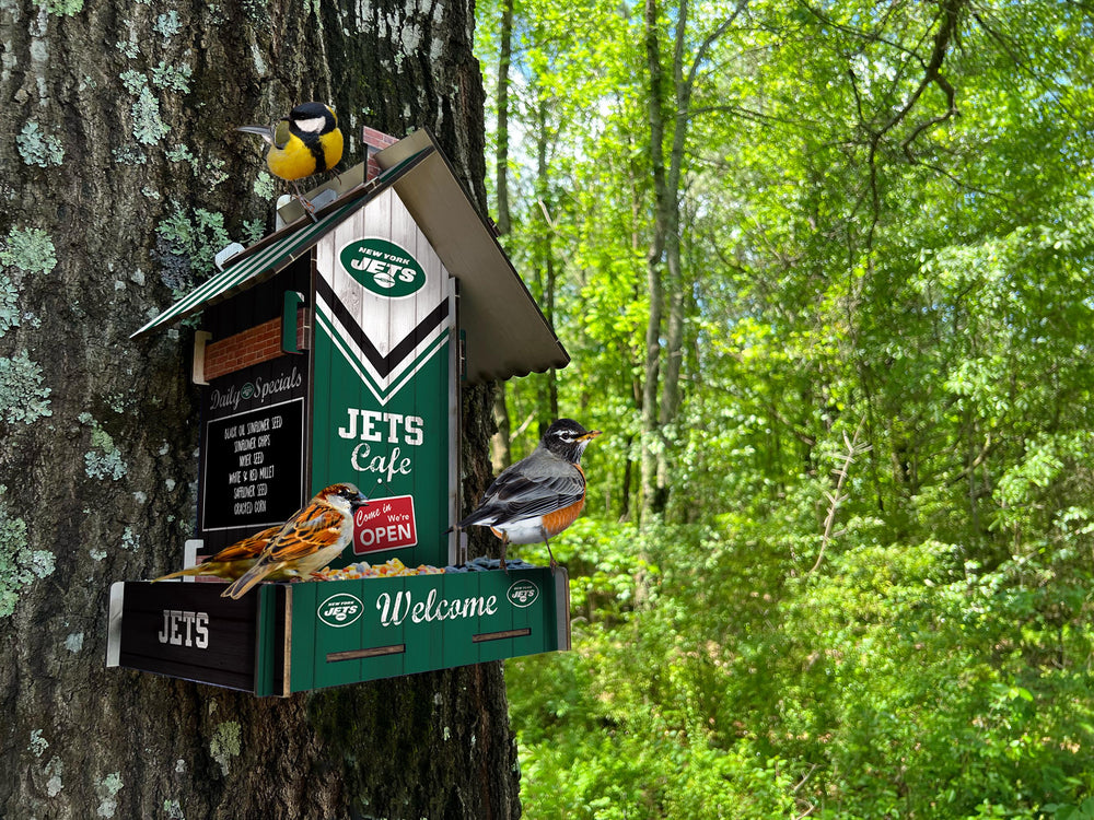 Wholesale NFL2206-Bird Feeder / Lifestyle images / N2206-New York Jets