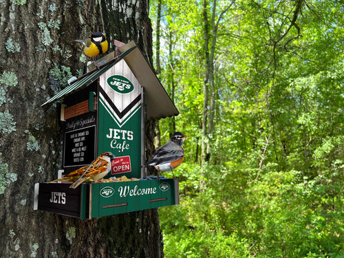Wholesale NFL2206-Bird Feeder / Lifestyle images / N2206-New York Jets