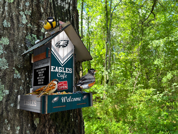 Wholesale NFL2206-Bird Feeder / Lifestyle images / N2206-Philadelphia Eagles