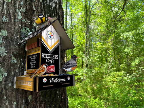 Wholesale NFL2206-Bird Feeder / Lifestyle images / N2206-Pittsburgh Steelers