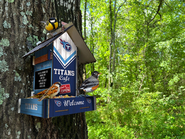 Wholesale NFL2206-Bird Feeder / Lifestyle images / N2206-Tennessee Titans