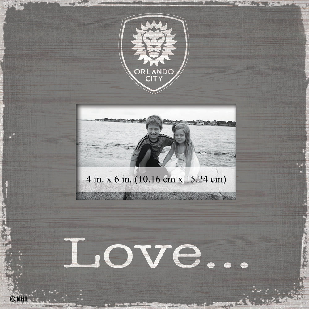 Wholesale MLS0942-Love Frame / S0942-Orlando City