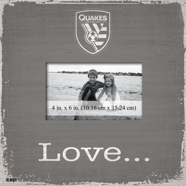 Wholesale MLS0942-Love Frame / S0942-San Jose Earthquakes