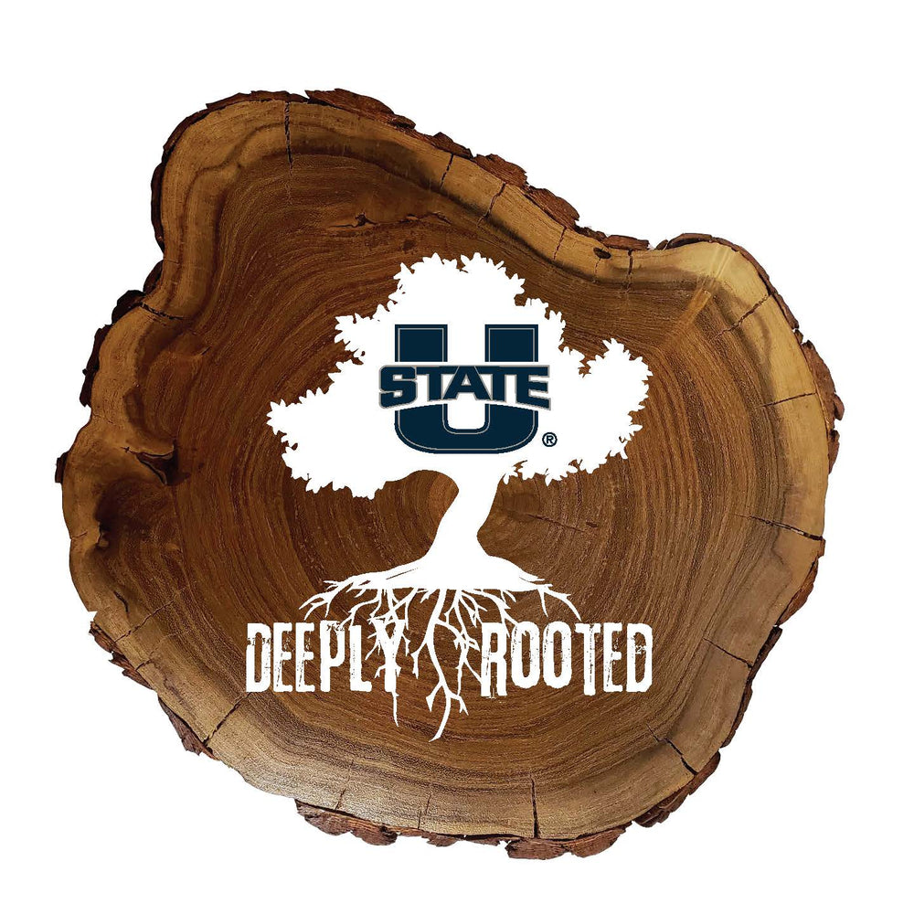 Wholesale C2048-Deeply Rooted Wood Slab / C2048-Utah State