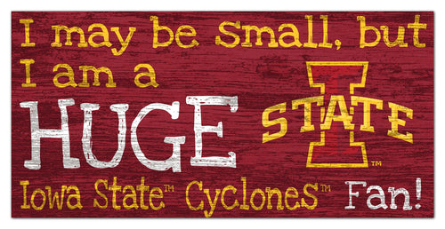 Wholesale C2028-Huge Fan 6x12 / C2028-Iowa State