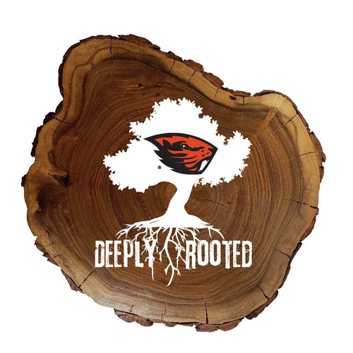 Wholesale C2048-Deeply Rooted Wood Slab / C2048-Oregon State