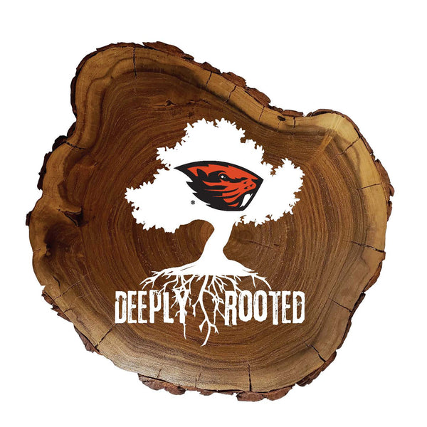 Wholesale C2048-Deeply Rooted Wood Slab / C2048-Oregon State