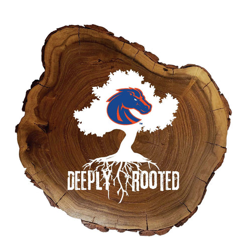 Wholesale C2048-Deeply Rooted Wood Slab / C2048-Boise State