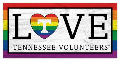 Wholesale C2064-LGBTQ Love 6x12 / C2064-Tennessee