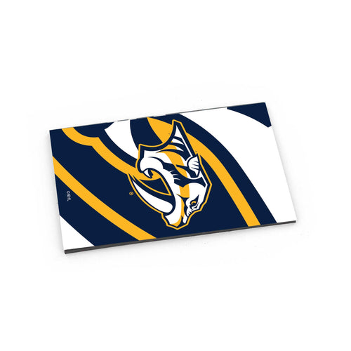 WHOLESALE NASHVILLE PREDATORS DYNAMIC MAGNET