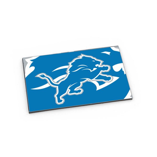 WHOLESALE DETROIT LIONS DYNAMIC MAGNET