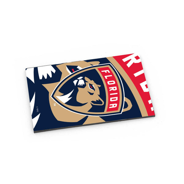 WHOLESALE FLORIDA PANTHERS DYNAMIC MAGNET