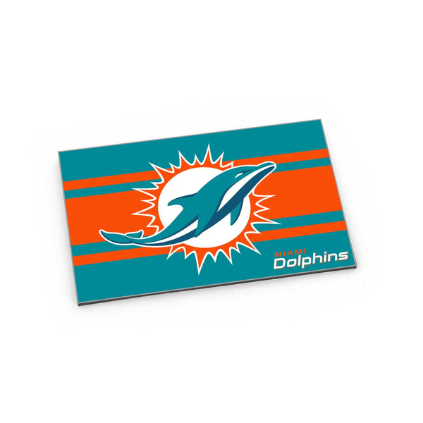 MIAMI DOLPHINS STRIPED MAGNET