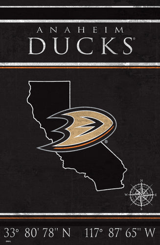 Anaheim Ducks 1038-Coordinates 17x26