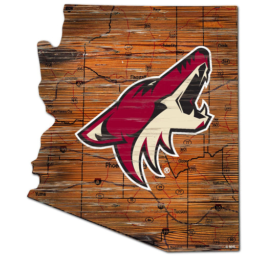 Arizona Coyotes 0728-24in Distressed State