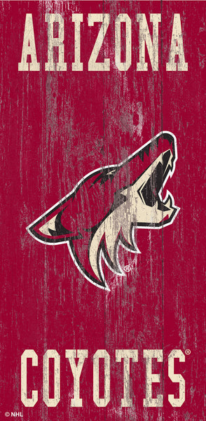 Arizona Coyotes 0786-Heritage Logo w/ Team Name 6x12