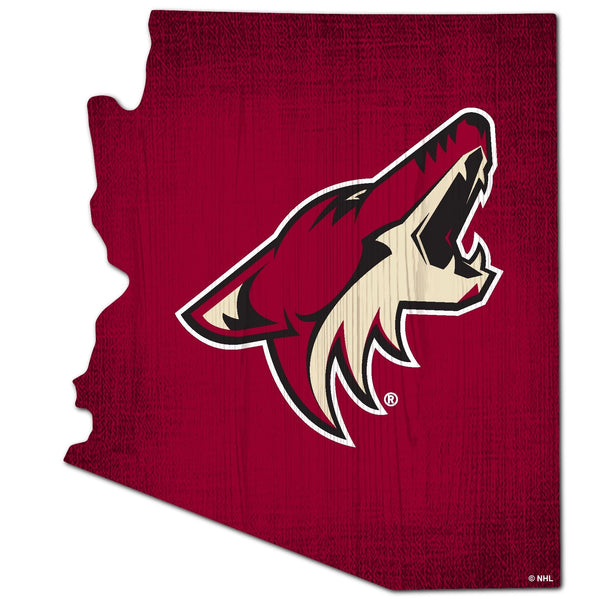 Arizona Coyotes 0838-12in Team Color State
