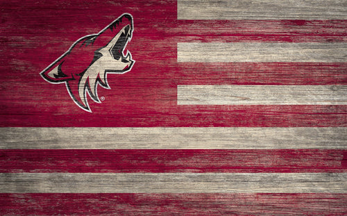 Arizona Coyotes 0940-Flag 11x19