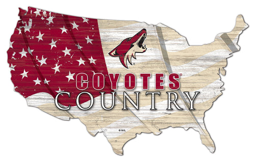 Arizona Coyotes 1001-USA Shape Flag Cutout