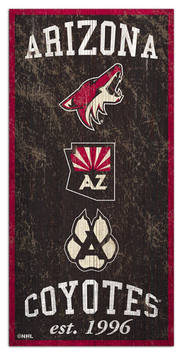 Arizona Coyotes 1011-Heritage 6x12