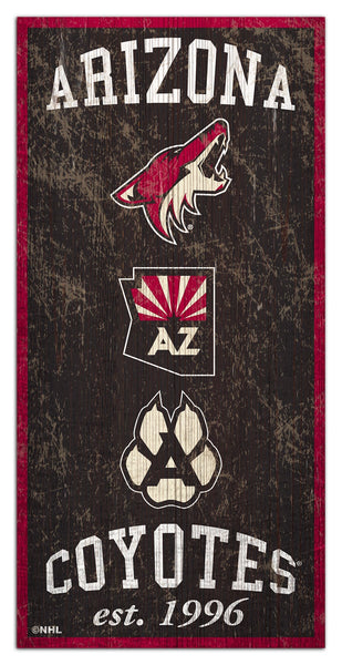 Arizona Coyotes 1011-Heritage 6x12