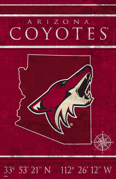 Arizona Coyotes 1038-Coordinates 17x26