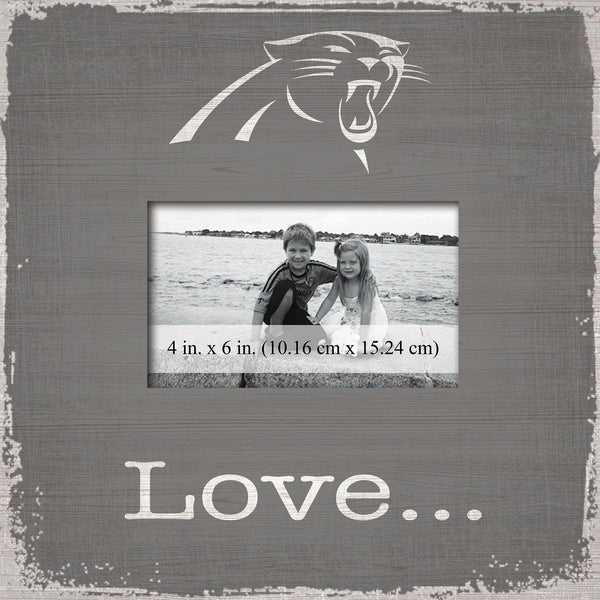 Carolina Panthers 0942-Love Frame