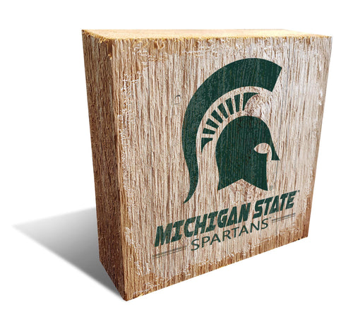 Michigan State Spartans 0907-Team Logo Block