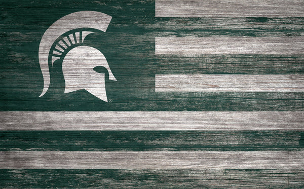 Michigan State Spartans 0940-Flag 11x19