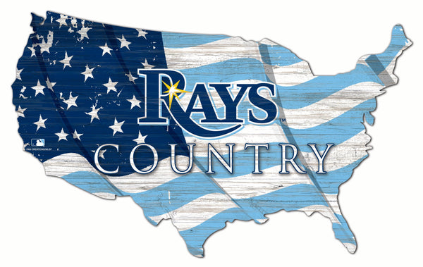 Tampa Bay Rays 1001-USA Shape Flag Cutout